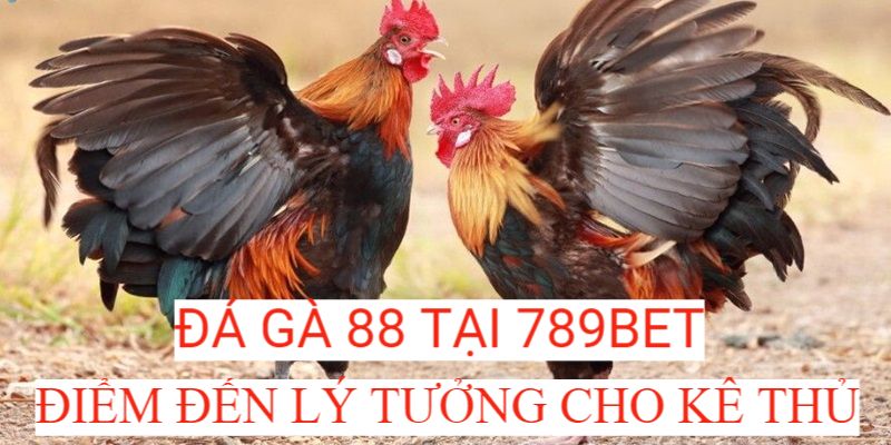 Giới thiệu bộ môn đá gà 88 tại 789Bet